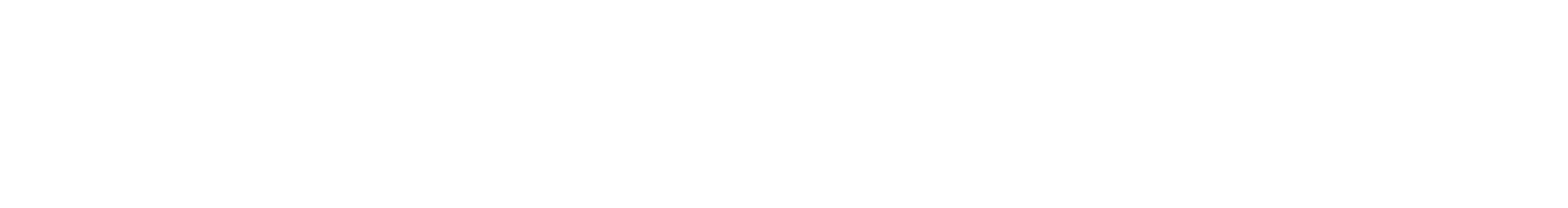 Brooklyn Travel and Tourism full logo